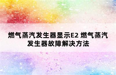 燃气蒸汽发生器显示E2 燃气蒸汽发生器故障解决方法